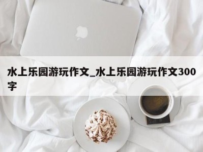 台州水上乐园游玩作文_水上乐园游玩作文300字 