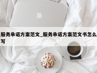 台州服务承诺方案范文_服务承诺方案范文书怎么写 